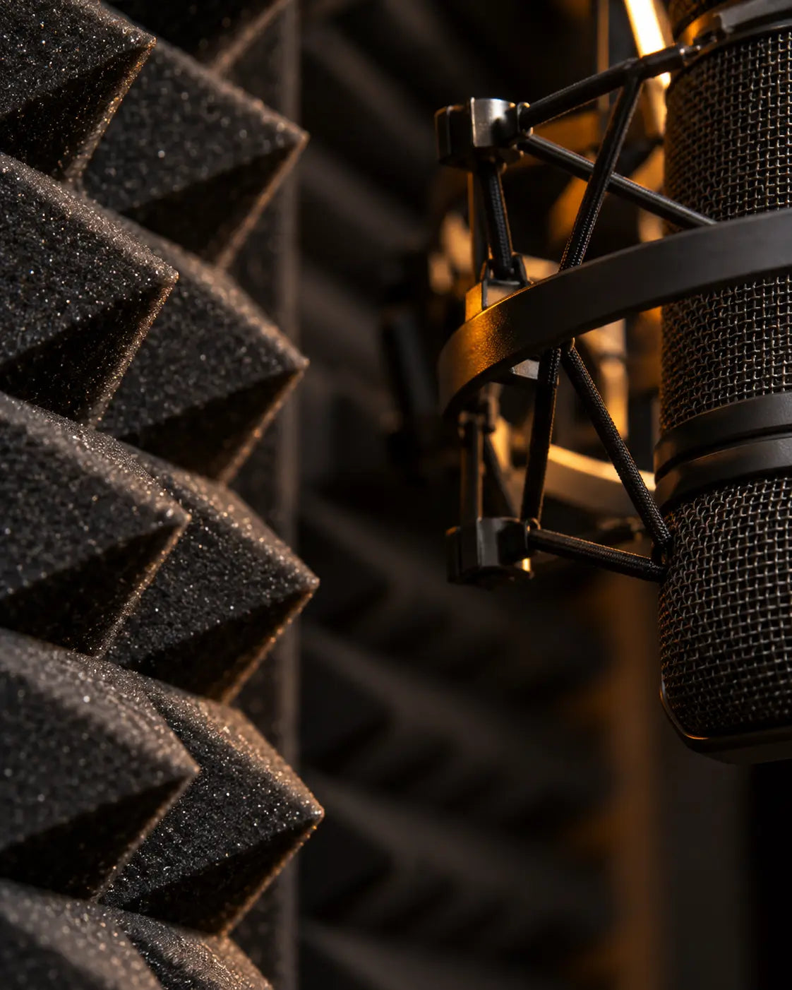Acoustic treatment and microphone detail